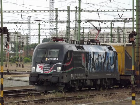 Gartner Szolnokon piknikkel.